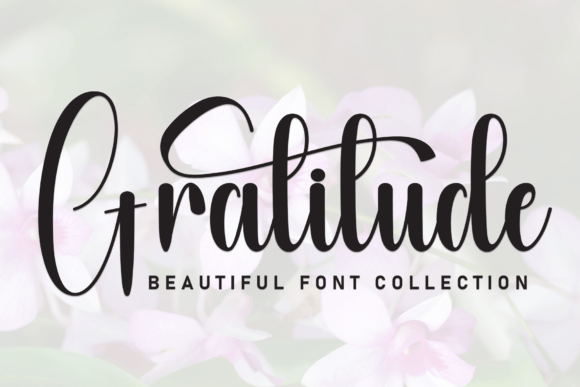 Download Gratitude - Gratitude Collection